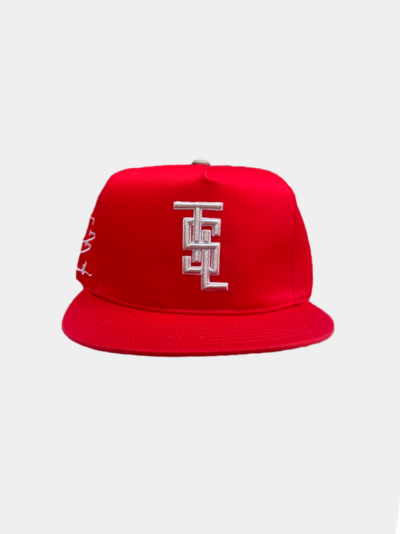 Fitted Saint Louis Baseball Cap - Red X Grey